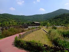 -石塘人家