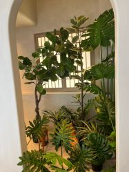 -悦润荟美容抗衰中心