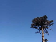 -苍山世界地质公园·石门关大峡谷