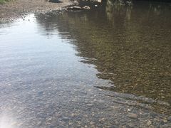 -华蓥山天意谷景区