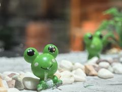 -麻田会 ·鲜活现烹·牛蛙火锅(珠江新城维家思广场店)