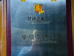 -腾冲国萍农家乐