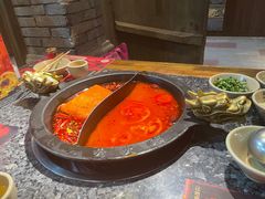 -蜀大侠火锅(建设路第五大道店)