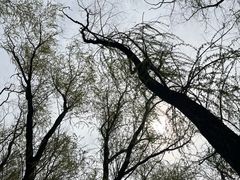 -华山风景名胜区