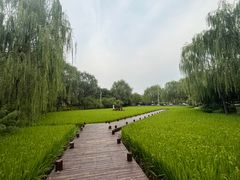 -北坞公园