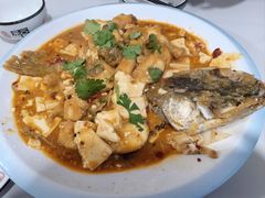 -煲来饱去冷水鱼