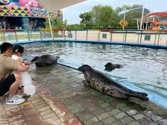 -北戴河圣蓝海洋公园