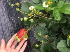 -生态苑农庄(十里画廊遇龙河店)