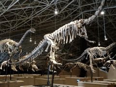 -世界恐龙谷景区