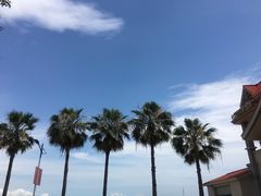 景点-大湾区中央湿地公园-十九涌