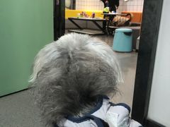 -半岛宠物医院24小时(科华中路店)