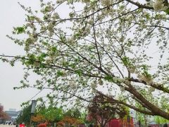 -大雁塔北广场音乐喷泉