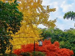 -岳麓山风景名胜区