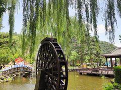 -北京龙庆四季香农家饭庄·灶台鱼·碳烤虹鳟鱼(龙庆峡店)