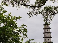-江心屿景区