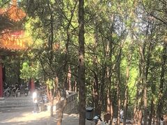 -青州市云门山风景区