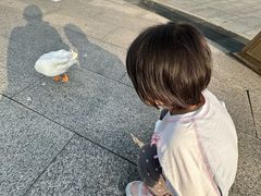 -门城湖公园