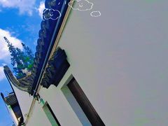 -高桥古镇