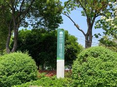 -羊山湖公园