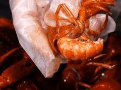-沪小胖小龙虾(淮海中路旗舰店)