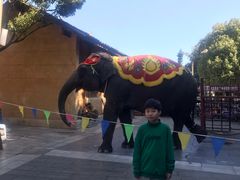 -云南民族村