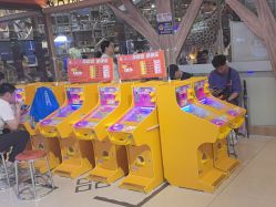 -卡通尼·Safari非洲探索乐园·生日会(金桥国际商业广场店)