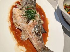 -芙蓉堂(武汉天地店)