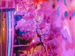 -巴特餐饮6加1音乐餐吧·新疆菜