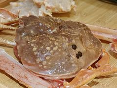 -松临·铁板烧&Omakase(神农店)