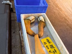 -寻味顺德·南记酒家·传统顺德菜·鱼生(广源路店)