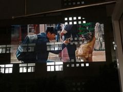 -中加枫华国际学校