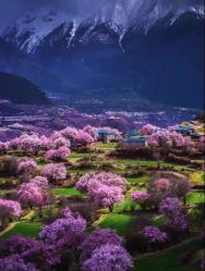 -美肤盾祛痘·问题肌头疗管理中心