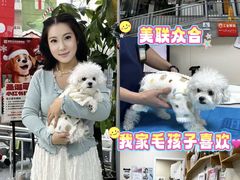 -美联众合爱康动物医院•复杂内科•肿瘤科•牙科•腔镜诊疗中心