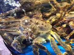 -蟹之国·精品蟹料理(极地店)