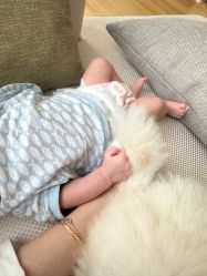 -baby bella小贝拉母婴护理中心(北京东隅店)
