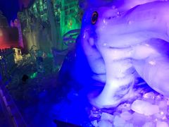 -世界之窗阿尔卑斯冰雪世界