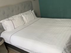 -白玉兰酒店(上海田子坊马当路地铁站店)