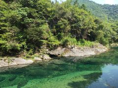 -石台牯牛降景区