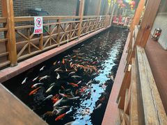 -侠成水上农庄(工业大道店)