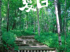 -五营国家森林公园
