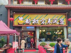 -新概念来凤鱼(璧山店)