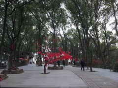 -上海佘山国家森林公园西佘山园