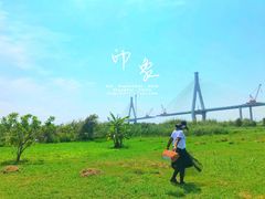 -芒洲湿地公园