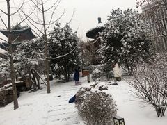 -迎泽公园