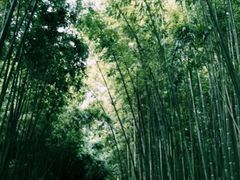 -苏州河梦清园环保主题公园