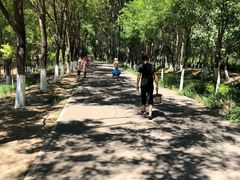 -东郊湿地公园