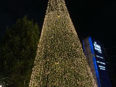 -王权免税店(普吉市区店)