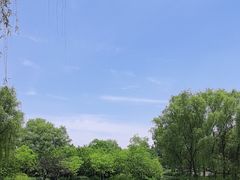 -西安浐灞国家湿地公园