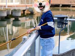 -帐篷客·溪龙茶谷度假酒店