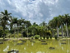 -中国科学院西双版纳热带植物园